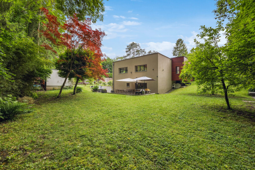 backbone_546411-A_049_HD