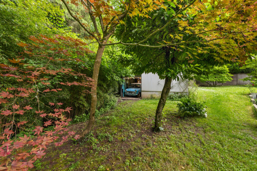 backbone_546411-A_058_HD