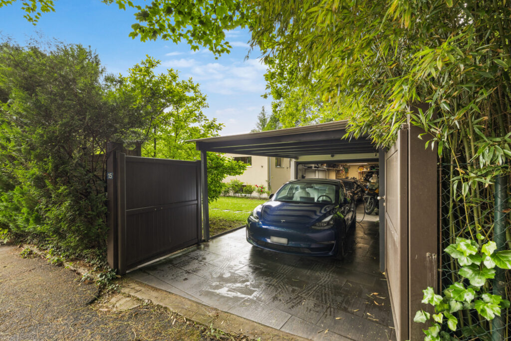 backbone_546411-A_061_HD